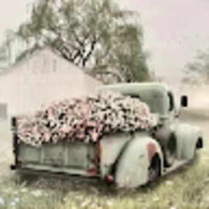 Meet your Posher, Crystal